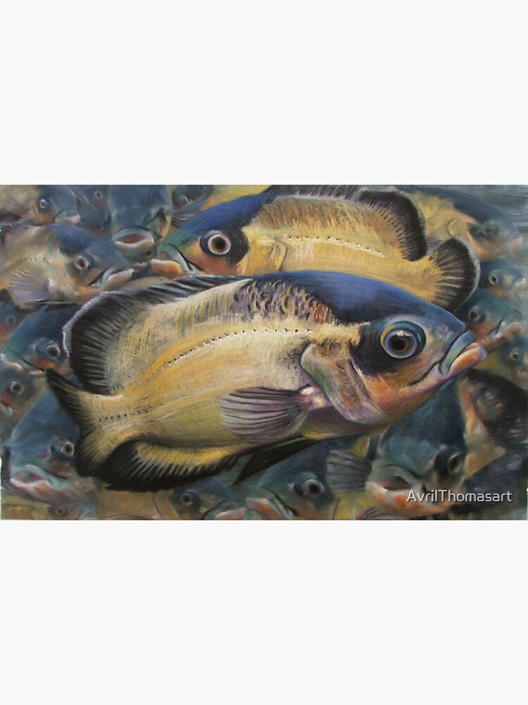 Thumbnail 3 of 3, Sticker, Oscar Fish Pastel Drawing – Tropical Aquarium Art Print designed and sold by AvrilThomasart.