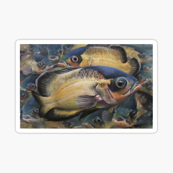 Oscar Fish Pastel Drawing – Tropical Aquarium Art Print Sticker
