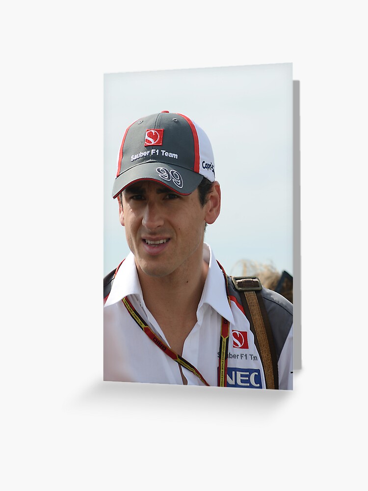 adrian sutil 2014