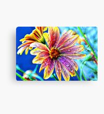 Coloured Metal Print