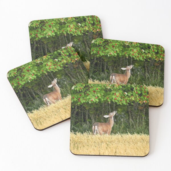 Item preview, Whitetail and the rowan berries designed and sold by Jouko Lehto Photography.