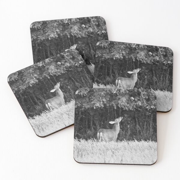 Item preview, Whitetail and the rowan berries bw designed and sold by Jouko Lehto Photography.