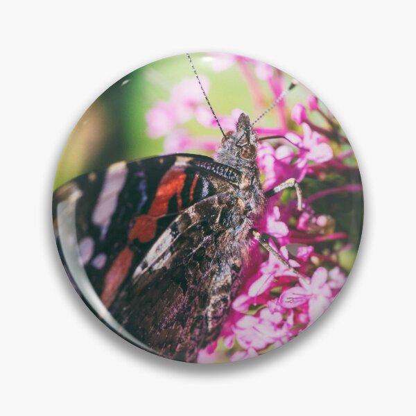 Item preview, Macro of Red Admiral butterfly Vulcain Vanessa atalanta on red valerian flower designed and sold by Grégory DUBUS.
