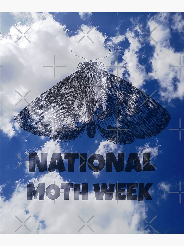 "National moth week" Poster for Sale by basileiossav Redbubble