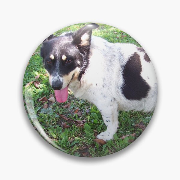 Item preview, A sweet mixed breed designed and sold by Babbler01.
