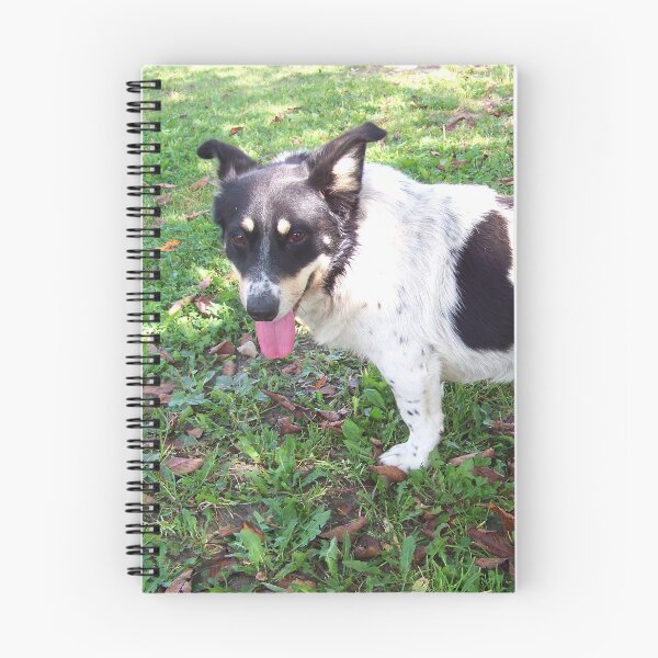 Item preview, A sweet mixed breed designed and sold by Babbler01.