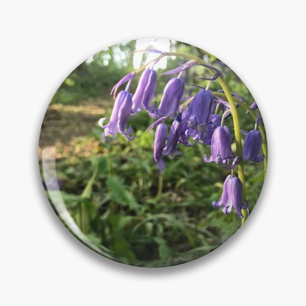Item preview, bluebells in the forest designed and sold by andy colegate.