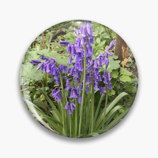 Item preview, cluster of bluebells close to tree,forest floor designed and sold by andy colegate.