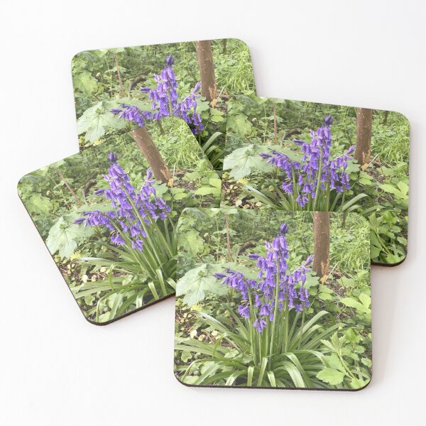 Item preview, cluster of bluebells close to tree,forest floor designed and sold by andy colegate.