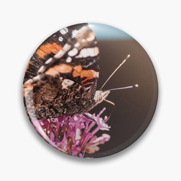 Item preview, Macro of Red Admiral butterfly called Vulcain Vanessa atalanta placed on pink flower designed and sold by Grégory DUBUS.