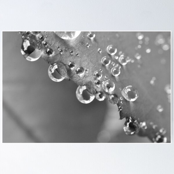 Artikelvorschau, Im Regen sitzen entworfen und verkauft von GFPhotography.