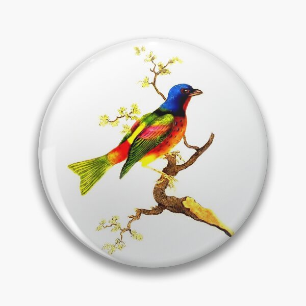 Item preview, Vintage Colorful Bird on a Branch Illustration designed and sold by kmcs.