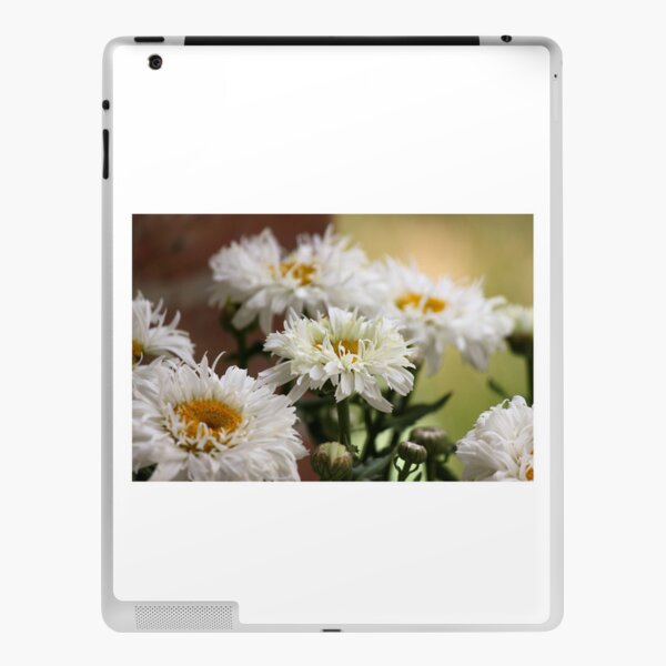 Summer Daises iPad Skin