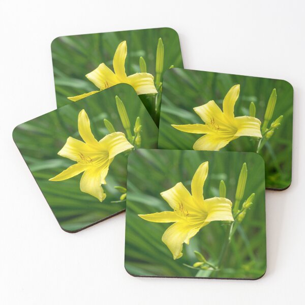 Item preview, Golden Beauty on Emerald Green - A Solitary Daylily Bloom designed and sold by Georgia Mizuleva.