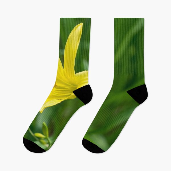 Item preview, Golden Beauty on Emerald Green - A Solitary Daylily Bloom designed and sold by Georgia Mizuleva.
