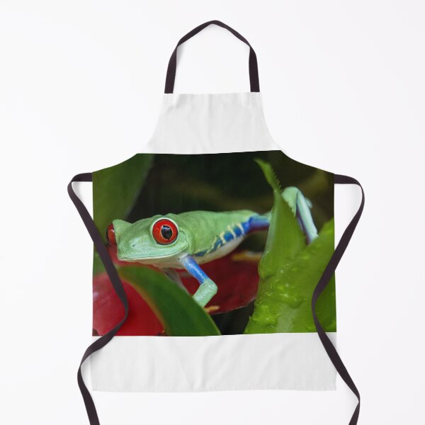 Item preview, Red eyed tree frog designed and sold by pietrofoto.