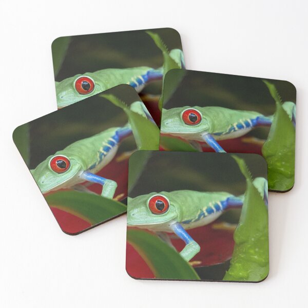 Item preview, Red eyed tree frog designed and sold by pietrofoto.