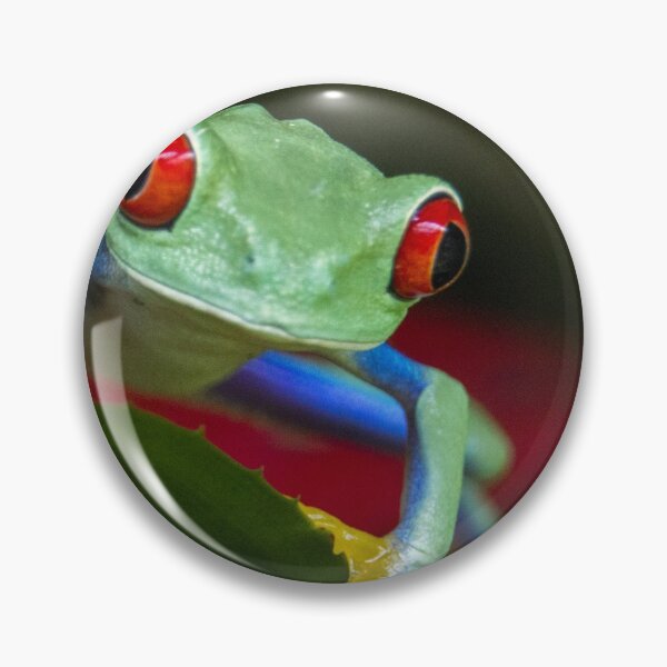 Item preview, Red eyed tree frog designed and sold by pietrofoto.