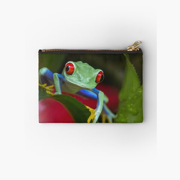 Item preview, Red eyed tree frog designed and sold by pietrofoto.