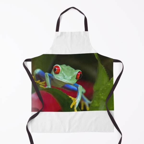 Item preview, Red eyed tree frog designed and sold by pietrofoto.