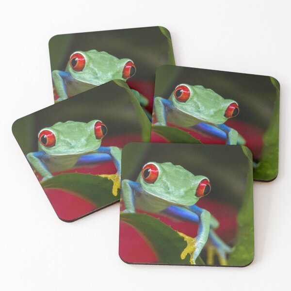 Item preview, Red eyed tree frog designed and sold by pietrofoto.