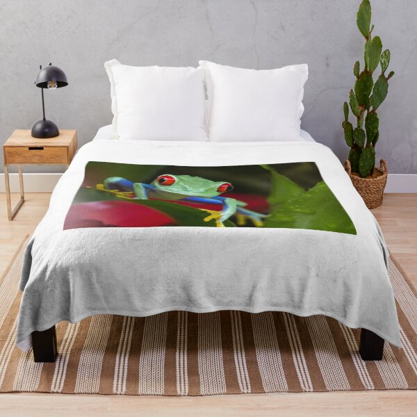 Item preview, Red eyed tree frog designed and sold by pietrofoto.