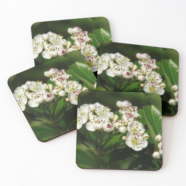 Item preview, spring designed and sold by Babbler01.