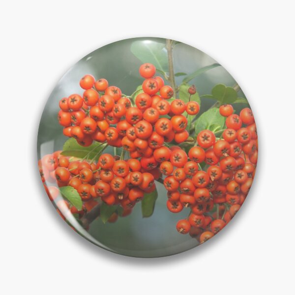 Item preview, Mountain ash designed and sold by Babbler01.