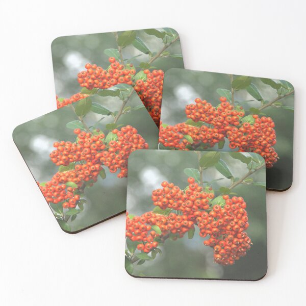 Item preview, Mountain ash designed and sold by Babbler01.