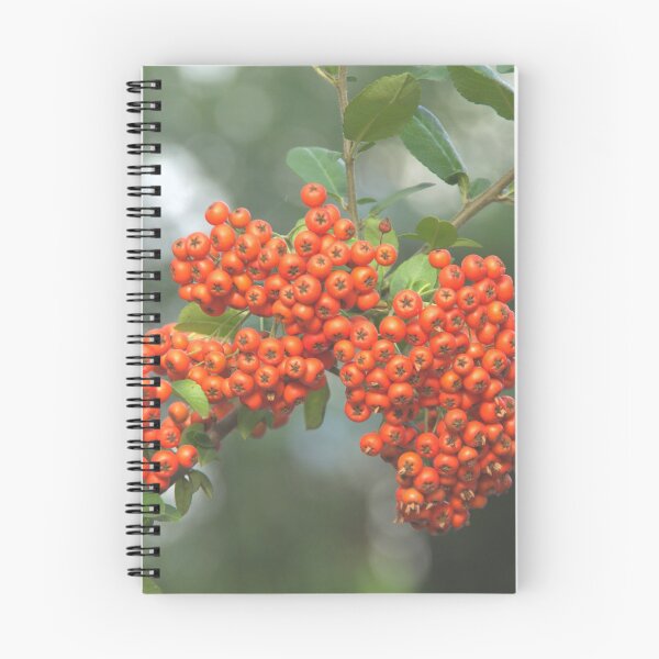 Item preview, Mountain ash designed and sold by Babbler01.