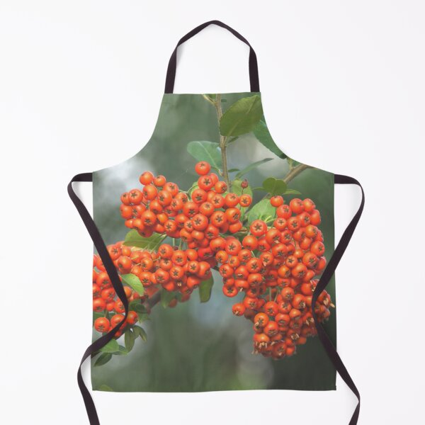 Item preview, Mountain ash designed and sold by Babbler01.