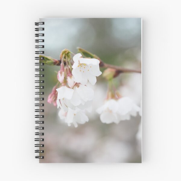 Item preview, Cherry Blossom 1 designed and sold by litwphoto.