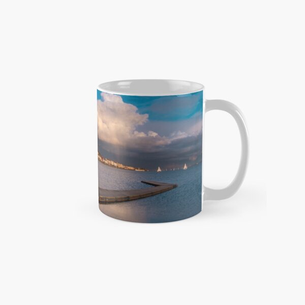 https://ih1.redbubble.net/image.2363586289.6323/mug,standard,x334,right-pad,600x600,f8f8f8.jpg