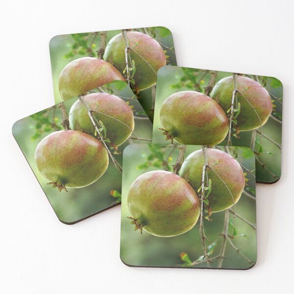 Item preview, Sweet Pomegranate Fruits on Tree Branch designed and sold by ALEX PHOTO DREAMS.