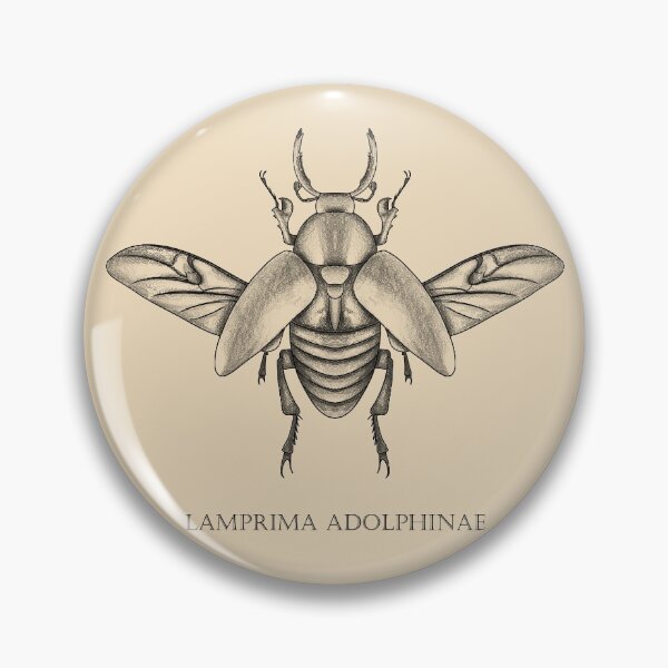 Artikelvorschau, Lamprima adolphinae Käfer Biologie Insekt entworfen und verkauft von sophieklen.