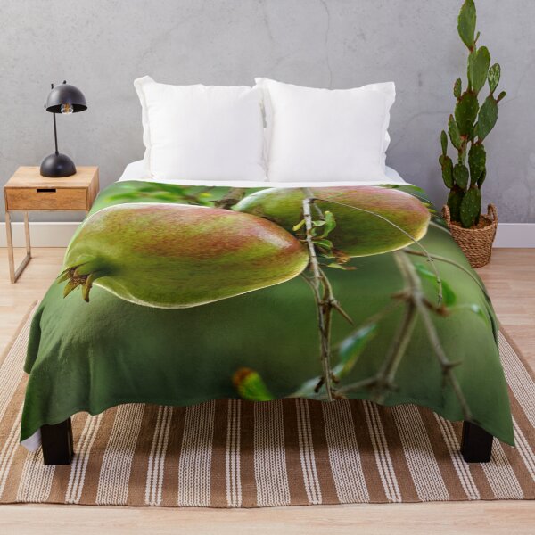 Item preview, Sweet Pomegranate Fruits on Tree Branch designed and sold by ALEX PHOTO DREAMS.