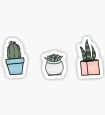 Potted Succulent Sticker Pack Sticker