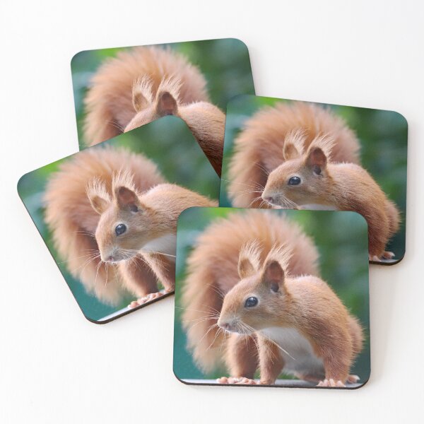 Item preview, A Gorgeous Red Squirrel designed and sold by Karen Thomson.