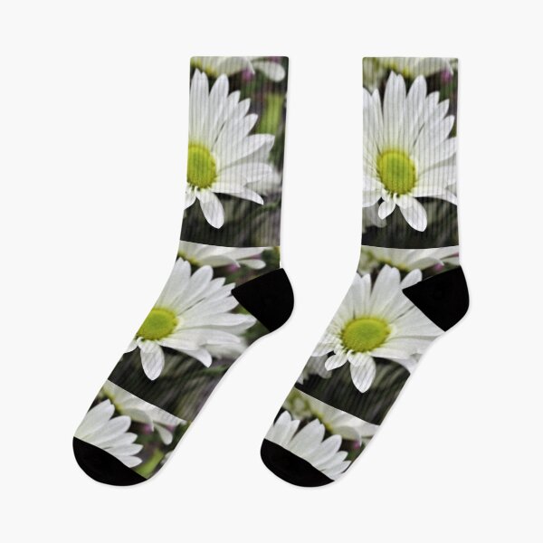 Item preview, white daisy designed and sold by lucey05.