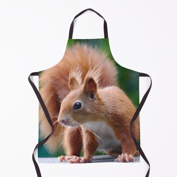 Item preview, A Gorgeous Red Squirrel designed and sold by Karen Thomson.