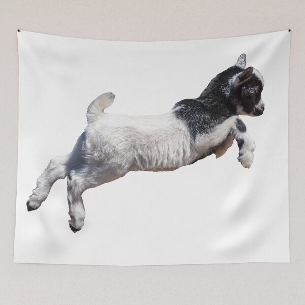 Item preview, Bouncing Baby Goat IX designed and sold by OryPhotography.