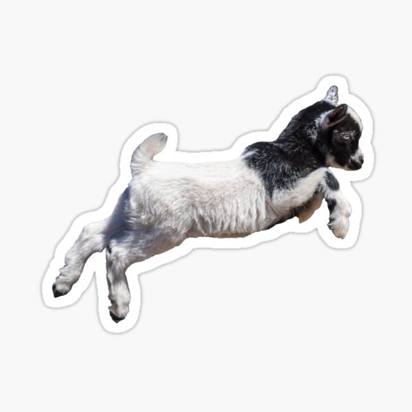 Bouncing Baby Goat IX Sticker