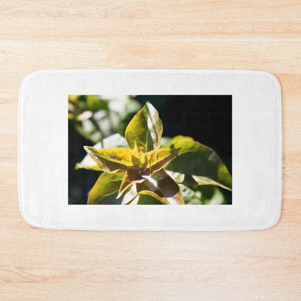 Item preview, Green Garden Spider hiding designed and sold by Jennifer  Sweeney.
