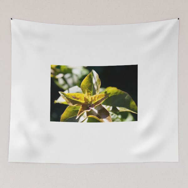 Item preview, Green Garden Spider hiding designed and sold by Jennifer  Sweeney.