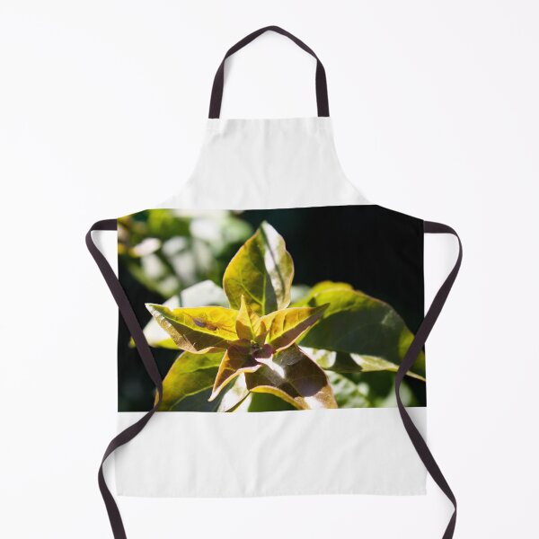 Item preview, Green Garden Spider hiding designed and sold by Jennifer Sweeney.