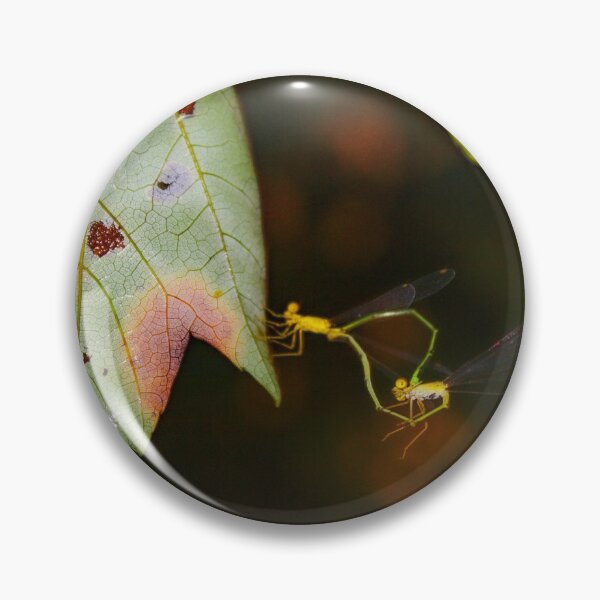 Item preview, Flies Mating designed and sold by Jennifer  Sweeney.