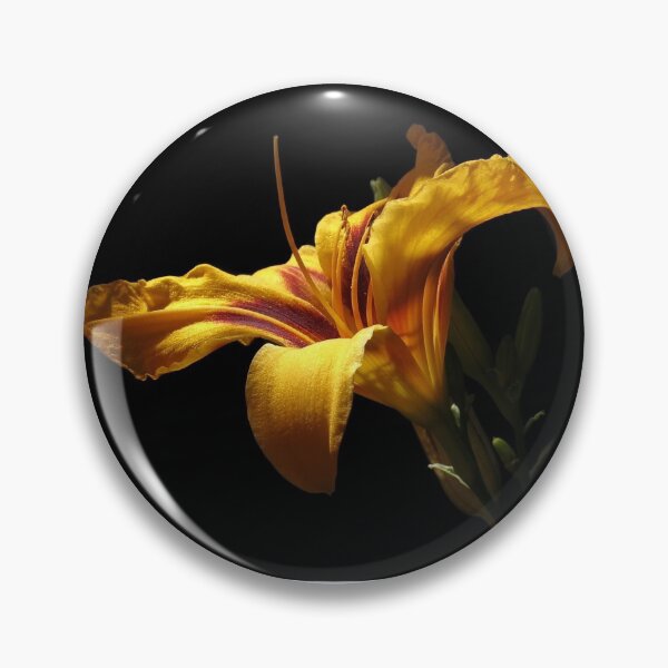 Item preview, Daylily designed and sold by bernd49.