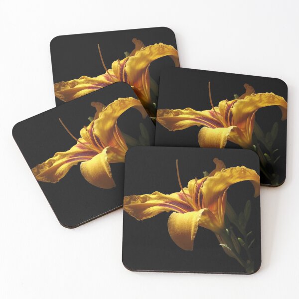 Item preview, Daylily designed and sold by bernd49.