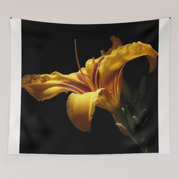 Item preview, Daylily designed and sold by bernd49.