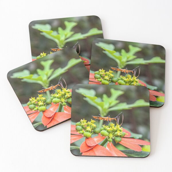 Item preview, Orange Bug designed and sold by Jennifer  Sweeney.